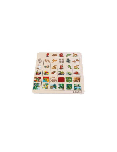 BEL11070,Asociere si sortare Jungla