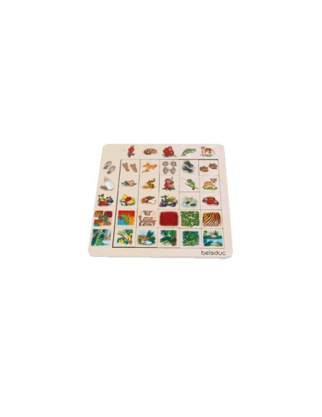 BEL11070,Asociere si sortare Jungla