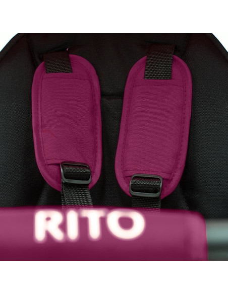 320038150,Tricicleta pliabila Qplay Rito+ Violet