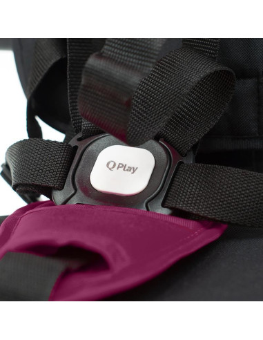 320038150,Tricicleta pliabila Qplay Rito+ Violet