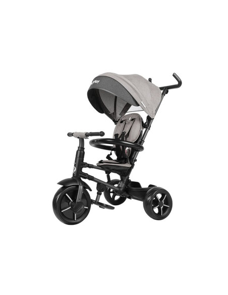 323038262,Tricicleta Qplay Rito Star gri
