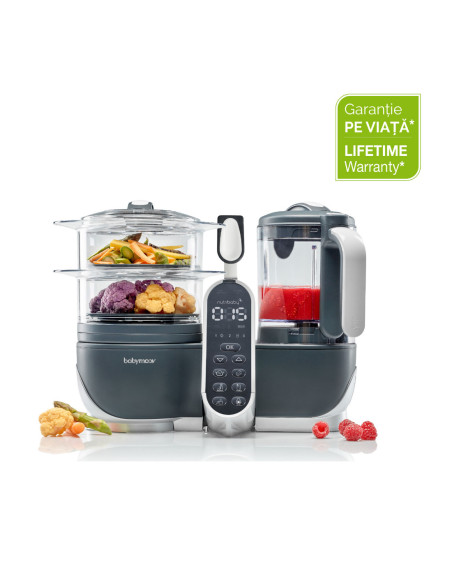 BB-A001124,Babymoov - Robot multifunctional 5 in 1 Nutribaby (+) Industrial Grey