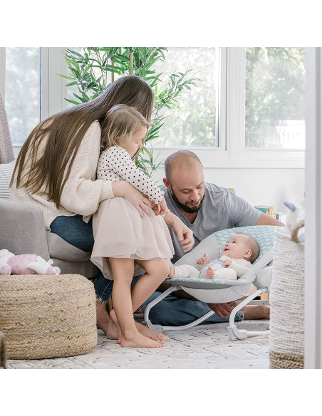 BB-12636,Ingenuity - Balansoar Rockity Rock, Goji