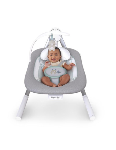 BB-12058,Ingenuity - Leagan portabil AnyWay Sway™, Spruce