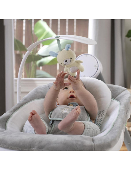 BB-12058,Ingenuity - Leagan portabil AnyWay Sway™, Spruce