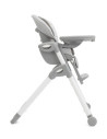 BB-H1013DAPOR000,Joie - Scaun de masa Mimzy Recline Portrait, nastere - 15 kg
