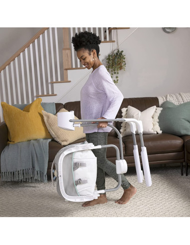 BB-12584,Ingenuity - Leagan portabil cu dubla functionalitate AnyWay Sway™