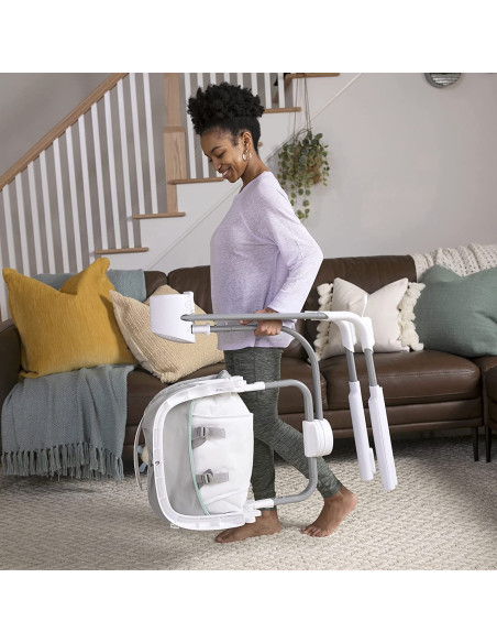 BB-12584,Ingenuity - Leagan portabil cu dubla functionalitate AnyWay Sway™