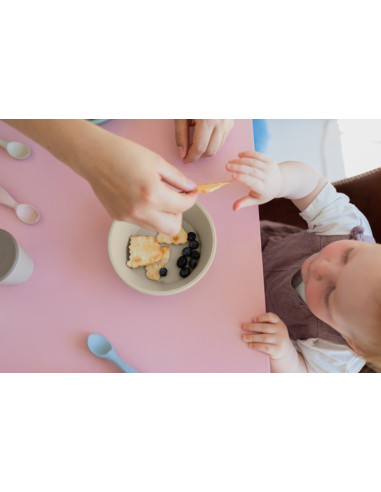 BB-4320244,BIBS - Set pentru diversificare si hranire, Blush