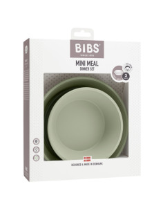 BB-4320250,BIBS - Set pentru diversificare si hranire, Sage 2