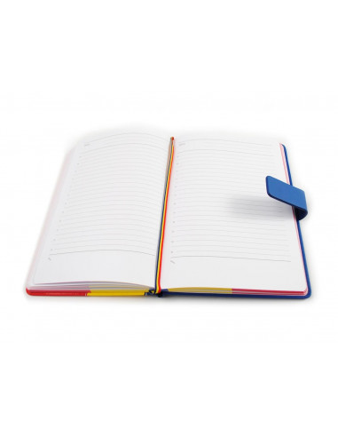 Agenda Arhi Design A5 Nedatata, 224 File, Tricolor
