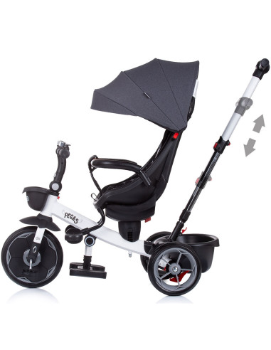 TRKPEG02201AN,Tricicleta Chipolino Pegas cu sezut reversibil anthracite