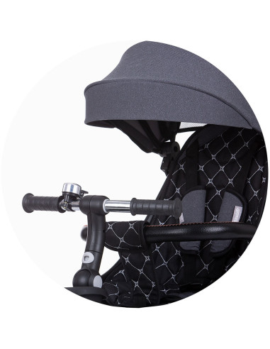 TRKPEG02201AN,Tricicleta Chipolino Pegas cu sezut reversibil anthracite