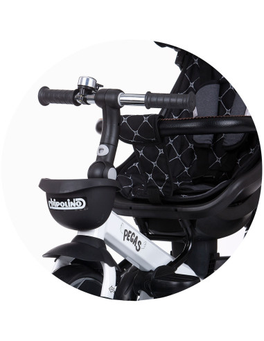 TRKPEG02201AN,Tricicleta Chipolino Pegas cu sezut reversibil anthracite