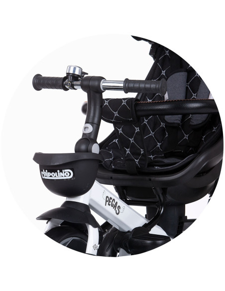 TRKPEG02201AN,Tricicleta Chipolino Pegas cu sezut reversibil anthracite
