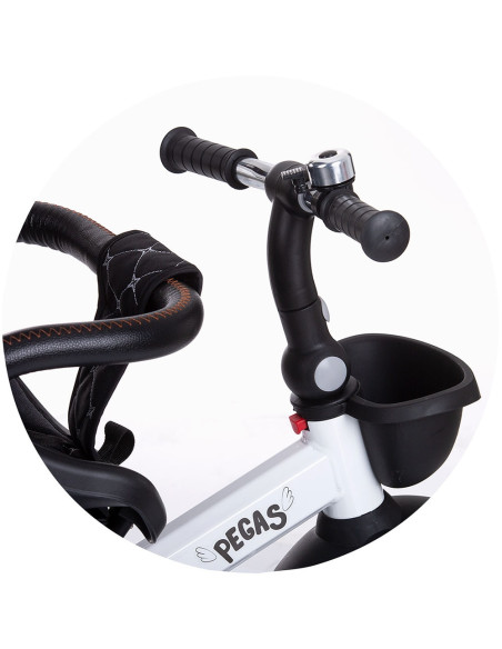 TRKPEG02201AN,Tricicleta Chipolino Pegas cu sezut reversibil anthracite