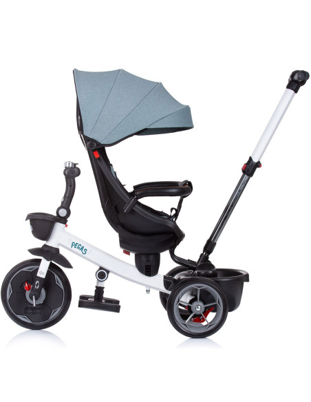 TRKPEG02205AV,Tricicleta Chipolino Pegas cu sezut reversibil avocado