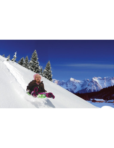 Gowi559-70,Sanie placa