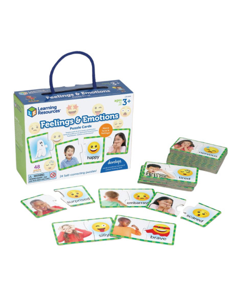 LER6091,Puzzle duo - Emotii si sentimente
