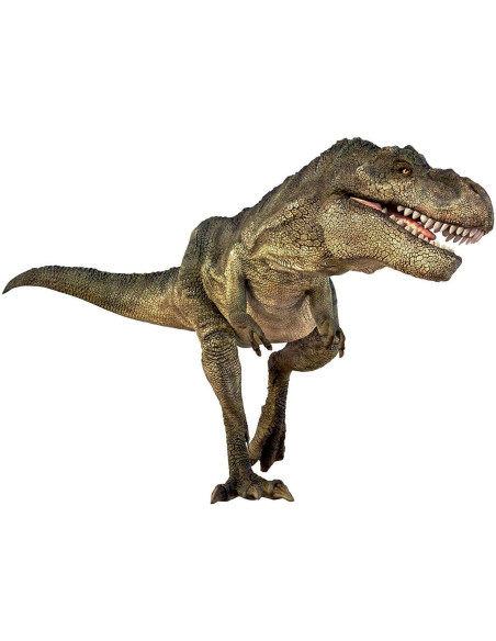 N5102,Diapozitive - Dinozauri