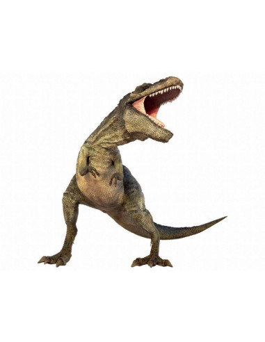 N5102,Diapozitive - Dinozauri