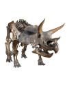 N5102,Diapozitive - Dinozauri