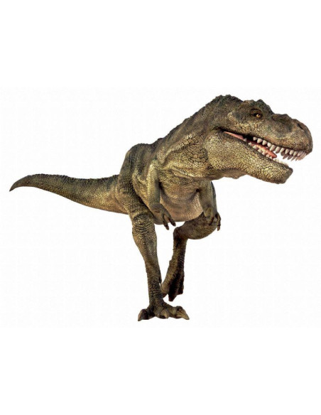 N5130,Proiector tip lanterna - Dinozauri