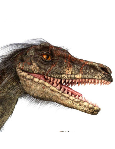 N5130,Proiector tip lanterna - Dinozauri