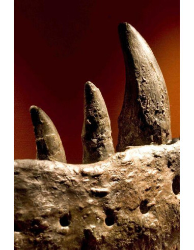 N5130,Proiector tip lanterna - Dinozauri