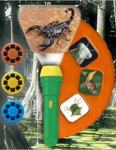 N5131,Proiector tip lanterna - Insecte
