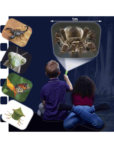 N5131,Proiector tip lanterna - Insecte