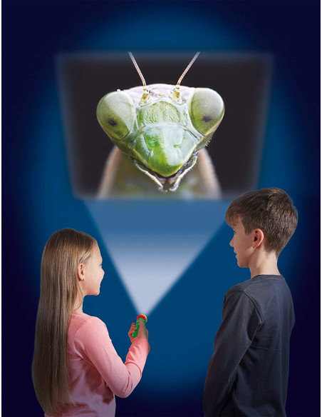 N5131,Proiector tip lanterna - Insecte