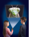 N5131,Proiector tip lanterna - Insecte