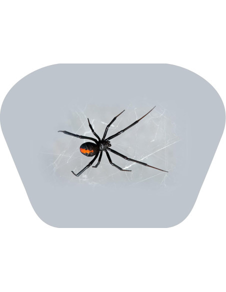N5131,Proiector tip lanterna - Insecte