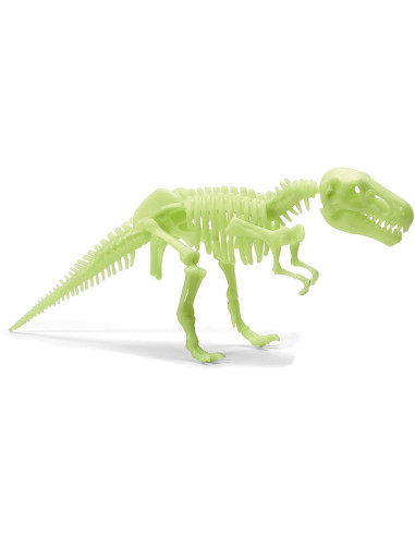 B8803,Schelet T-Rex reflectorizant