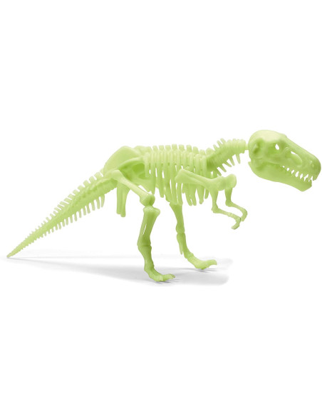 B8803,Schelet T-Rex reflectorizant