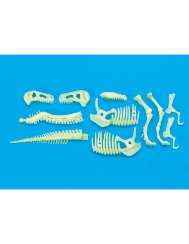 B8803,Schelet T-Rex reflectorizant