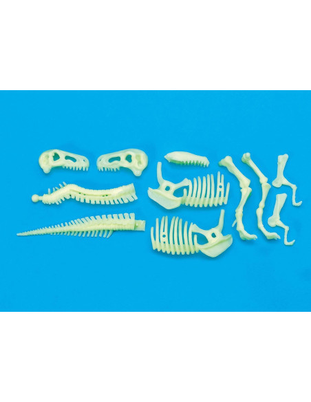 B8803,Schelet T-Rex reflectorizant