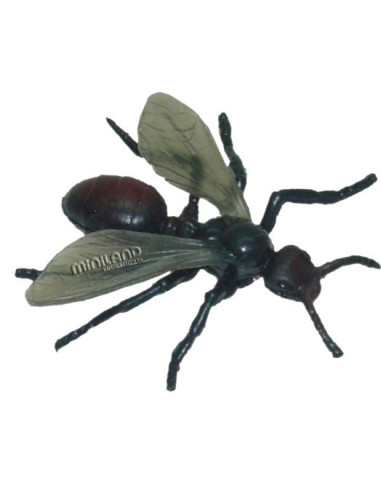 ML27480,Set de 12 figurine Insecte Miniland