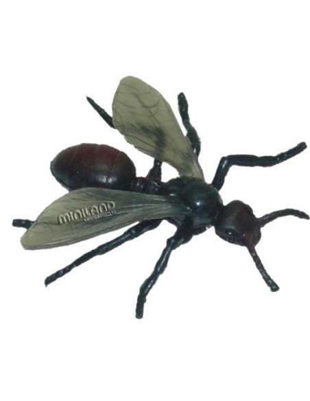 ML27480,Set de 12 figurine Insecte Miniland