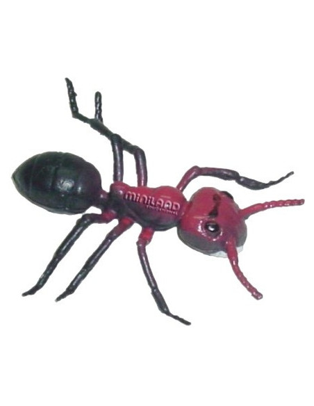 ML27480,Set de 12 figurine Insecte Miniland