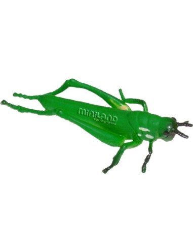 ML27480,Set de 12 figurine Insecte Miniland