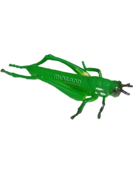 ML27480,Set de 12 figurine Insecte Miniland