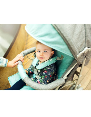 BN-LO-IRMA_PINK,Lionelo - Carucior sport Irma, Cu husa de picioare, Cu plasa de tantari, Conform cu standardul european de secur