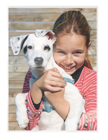 LZ74860000,Folie laminare Leitz A3 80 microni 25/top udt