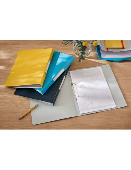 LZ42380019,Caiet mecanic a4 2 inele 25mm/32mm cop flex galben chihlimbar cosy leitz LZ42380019,Caiet mecanic a4 2 inele 25mm/32mm cop flex galben chihlimbar cosy leitz