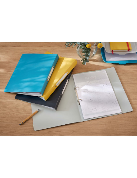 LZ42380061,Caiet mecanic a4 2 inele 25mm/32mm cop flex albastru celest cosy leitz LZ42380061,Caiet mecanic a4 2 inele 25mm/32mm cop flex albastru celest cosy leitz