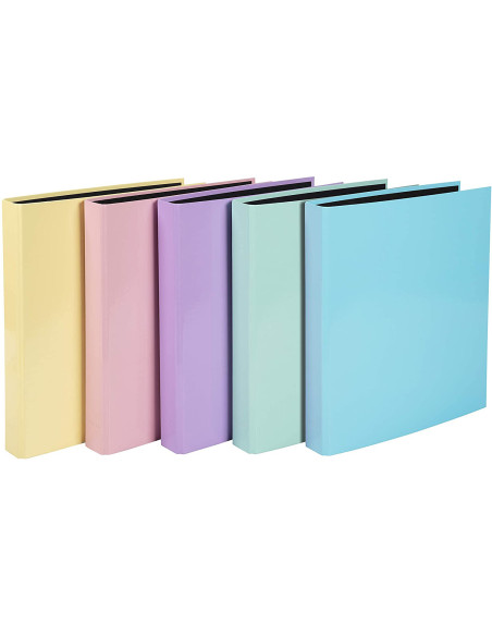 EX54565E,Caiet mecanic a4 2 inele 25mm pp aquarel lila exacompta