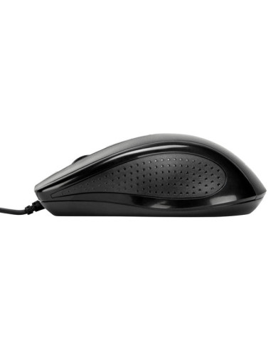 AMU81AMGL,Targus Mouse Antimicrobial cu fir, full size, optic
