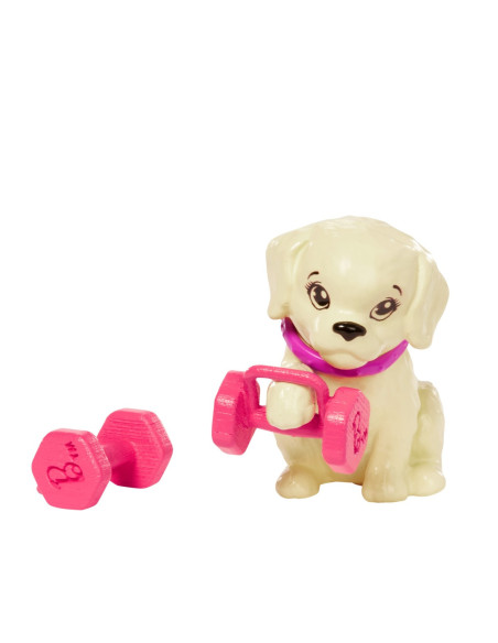 MTGKH73_HKT91,Barbie Set De Joaca Cu Accesorii Papusa Barbie Sportiva